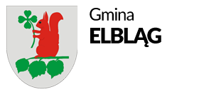 Elbląg w formie