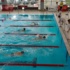 Ogólnopolskie Letnie Igrzyska Olimpiad Specjalnych – pływanie