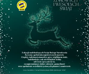 ZDROWYCH WESOŁYCH ŚWIĄT